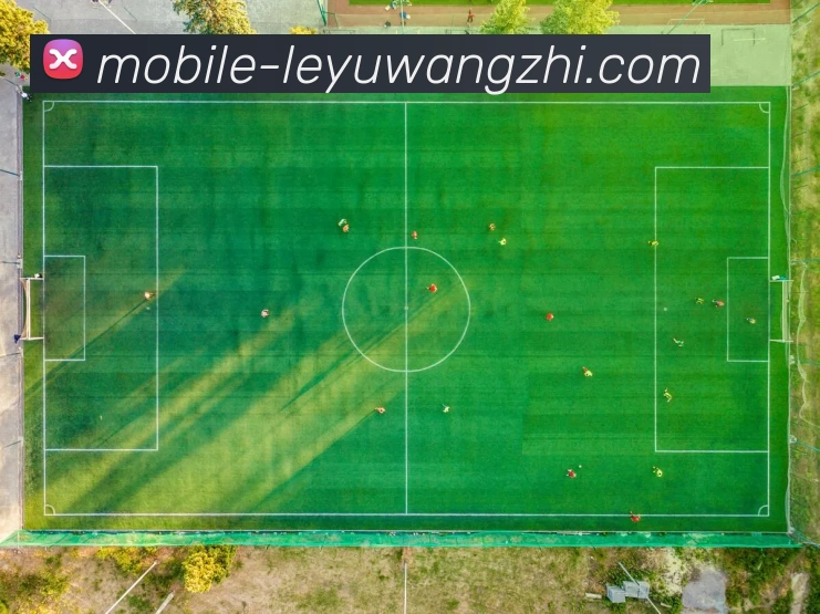乐鱼网址APP 封面图